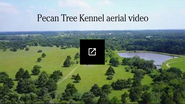 Pecan Tree Kennel Drone Video